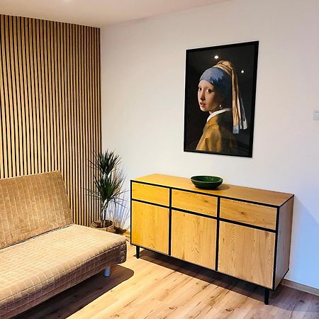 Stary Toruń Apartament Estera מראה חיצוני תמונה